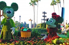 Epcot Flower and Garden Festival — Mickey and Minnie