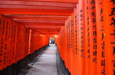 Fushimi Inari Shrine, Torri Path