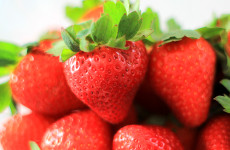 Wishing Star Strawberry Variety from the FSGA