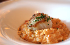 urban-tide-diver-scallops