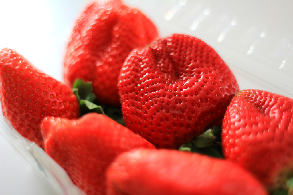 FL-127_strawberry_variety